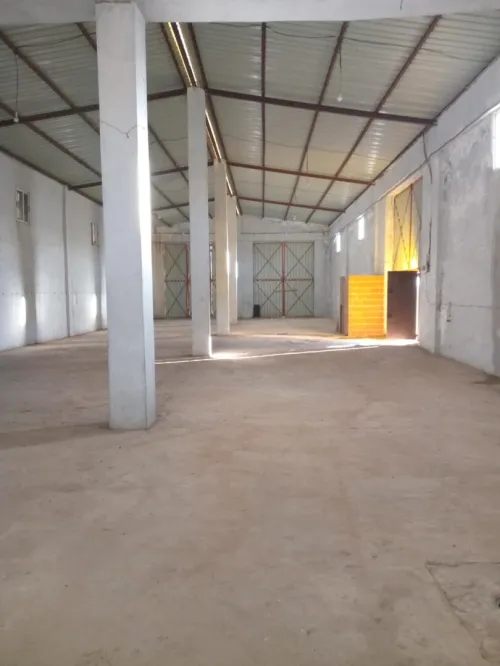 Vente Hangar Guelma Guellat bou dbaa