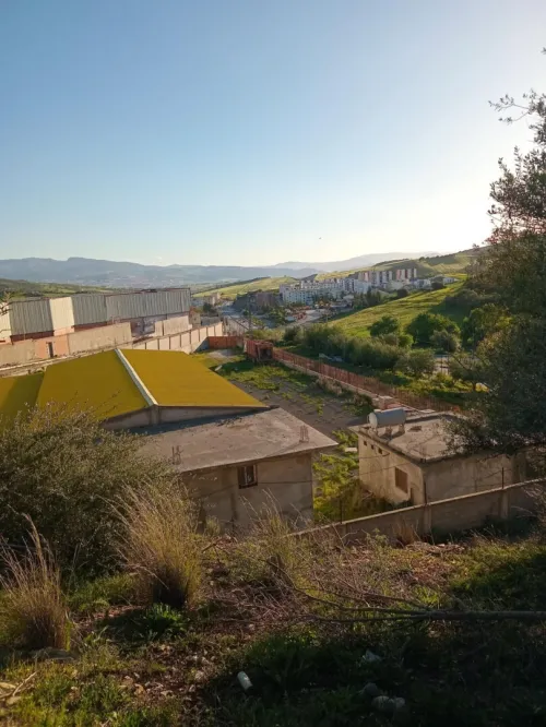 Vente Hangar - Usine Guelma Guellat bou dbaa