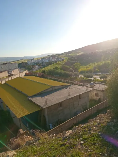 Vente Hangar Guelma Guellat bou dbaa