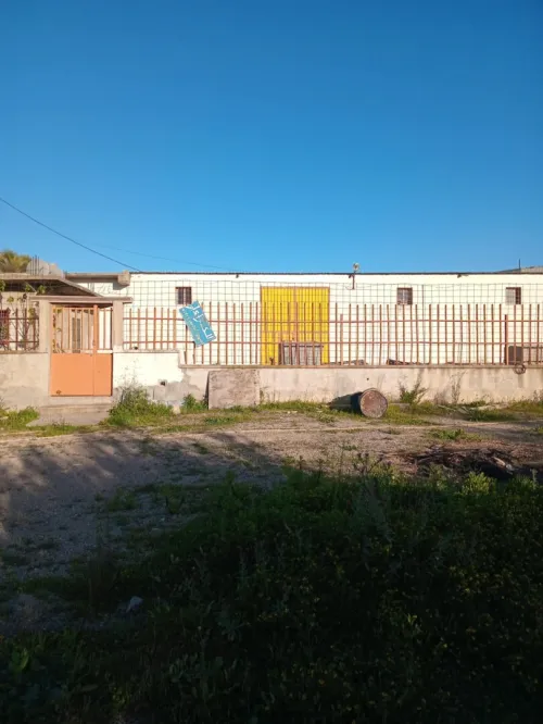 Vente Hangar Guelma Guellat bou dbaa