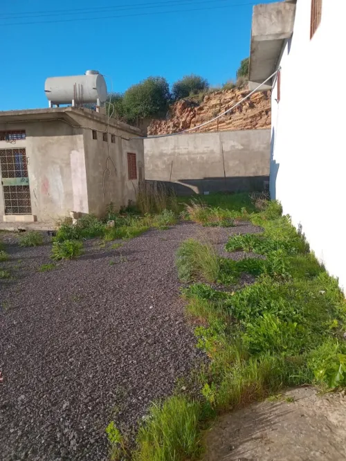 Vente Hangar Guelma Guellat bou dbaa
