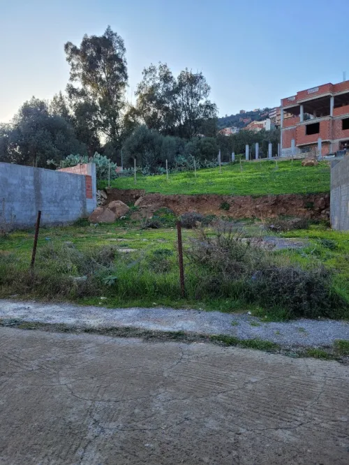 Vente Terrain Béjaïa El flaye