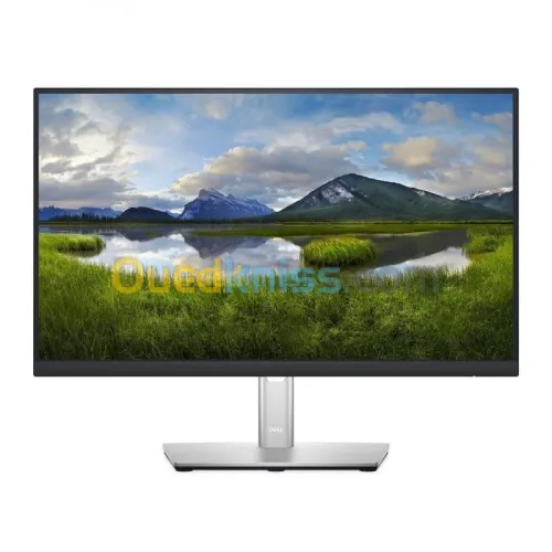 Dell 21.5 LED - P2222H Ecran PC Full HD 1080p 5ms - Dalle IPS - HDMI-VGA-DisplayPort - Hub USB 3.0