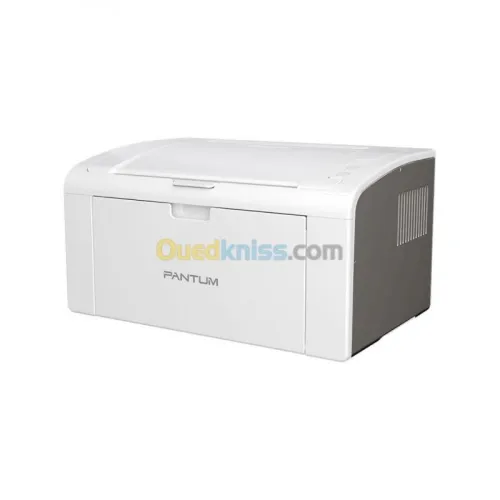 PANTUM P2509 - IMPRIMANTE LASER - MONOCHROME A4 - MONOFONCTION - 22 PPM  - USB 2.0 - PD219 - GRISE 