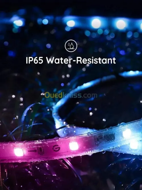 GOVEE OUTDOOR LED STRIP LIGHTS RGBIC - H6172- 32.8 FT - 10M - SMART LED LIGHTS - BLUETOOTH - ETANCHE