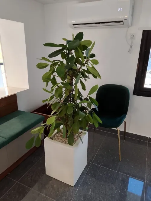 Des luxueux pots de haute qualité 
