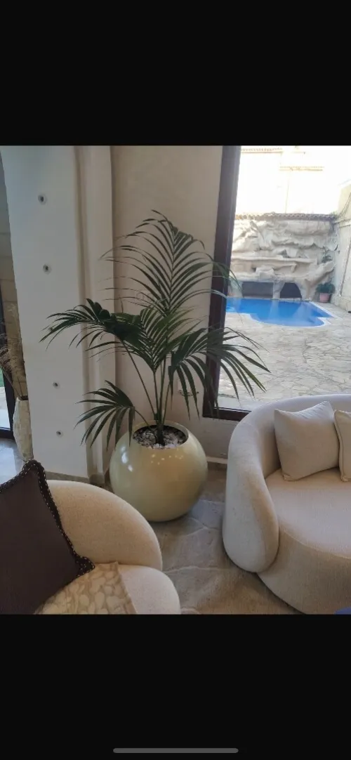 Des luxueux pots de haute qualité 