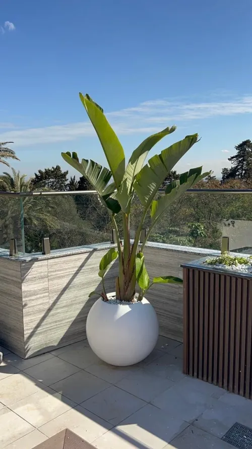 Des luxueux pots de haute qualité 