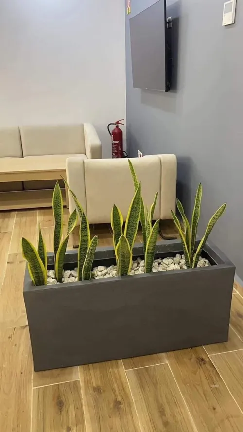 Des luxueux pots de haute qualité 