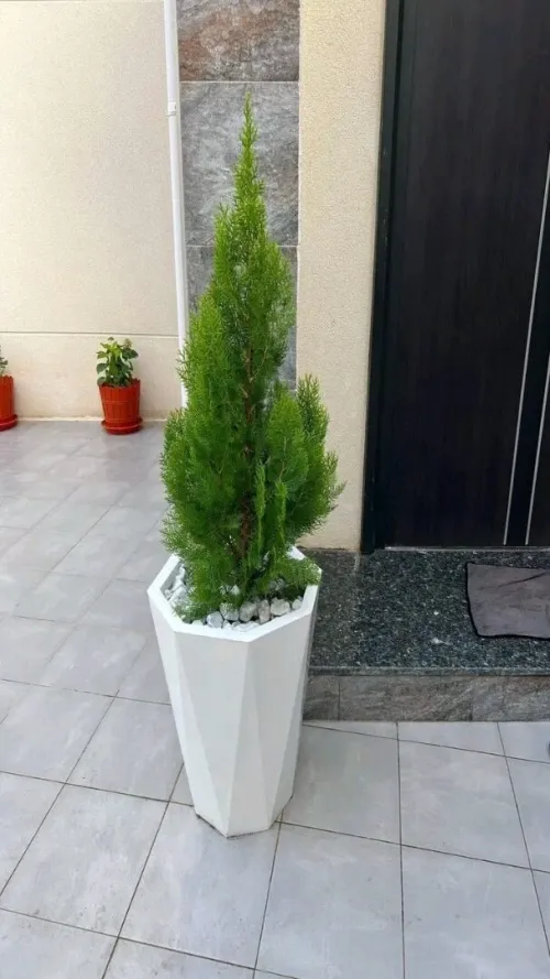 Des luxueux pots de haute qualité 