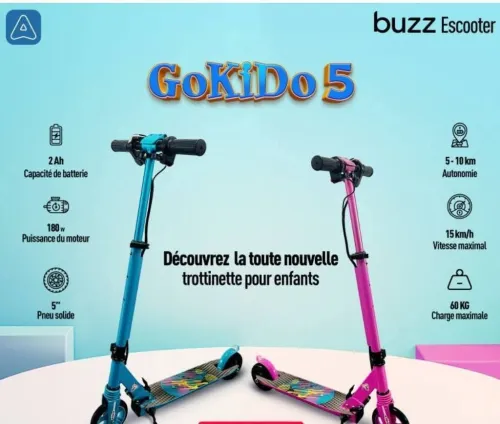 Trottinette Électrique 