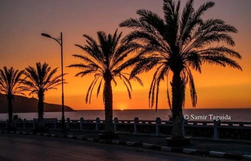 Location vacances bien immobilier El Tarf El kala