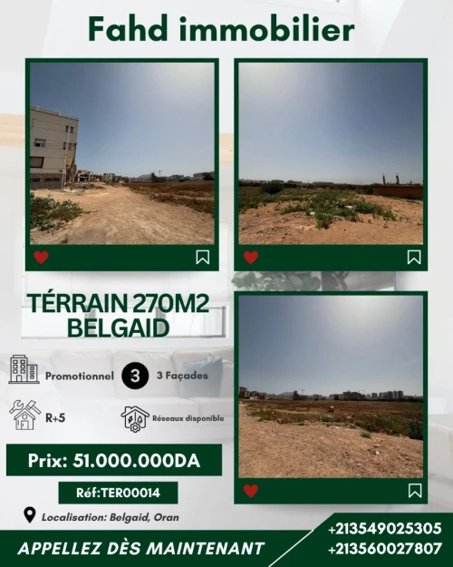 Vente Terrain Oran Bir el djir