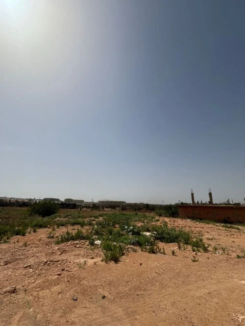 Vente Terrain Oran Bir el djir