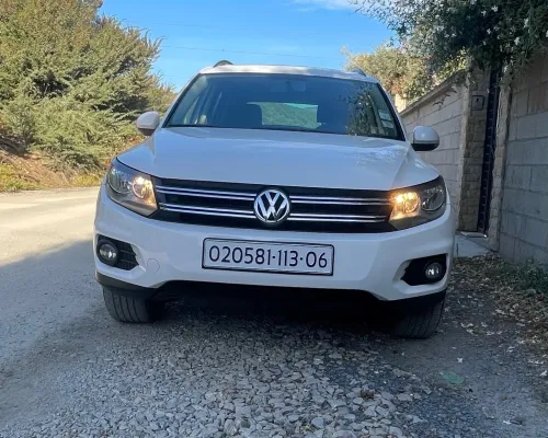 Volkswagen Tiguan 2013 Style