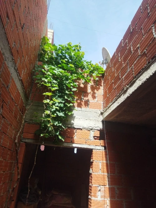 Vente Villa Tlemcen Souahlia 3