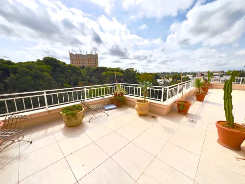 Location Appartement Penthouse F4 Alger Hydra