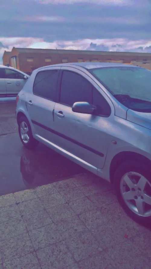 Peugeot 307 2002 307