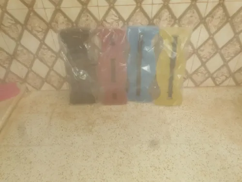 الشلف 