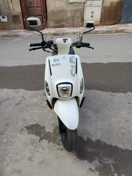 Cuxi 2 2025