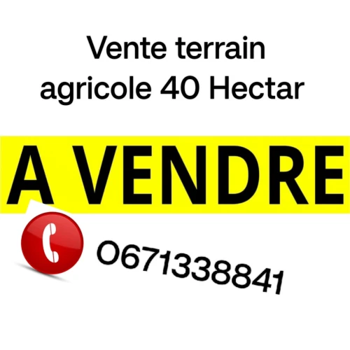 Vente Terrain Agricole Aïn Defla Khemis miliana