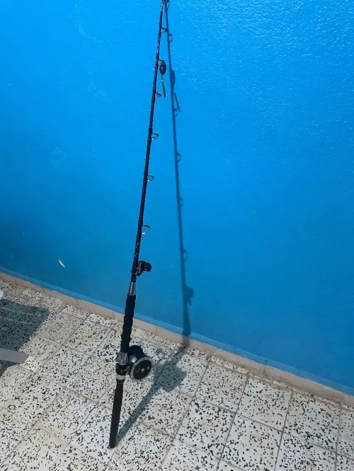 Canne à pêche 