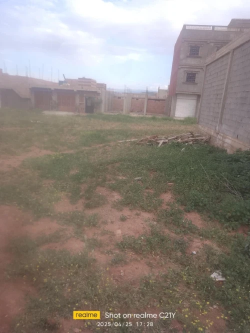 Vente Terrain Tlemcen Remchi