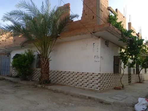 Vente Immeuble Sidi Bel Abbès Amarnas