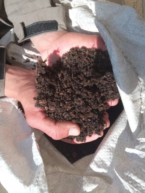 compost d'olives  سماد الزيتون