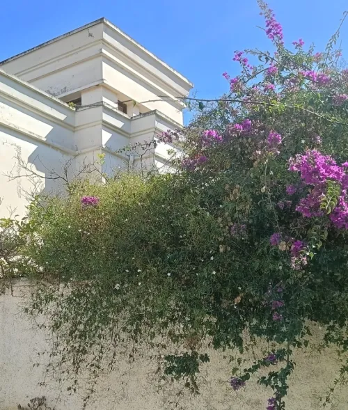 Vente Villa Alger Cheraga