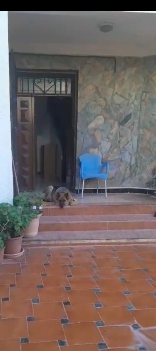 Vente Villa Tipaza Bou ismail