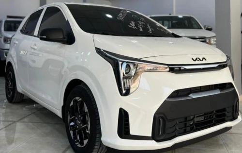 Kia Picanto 2025 Picanto
