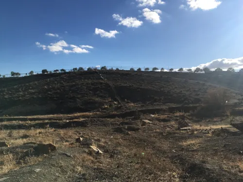 Vente Terrain Sétif Djemila