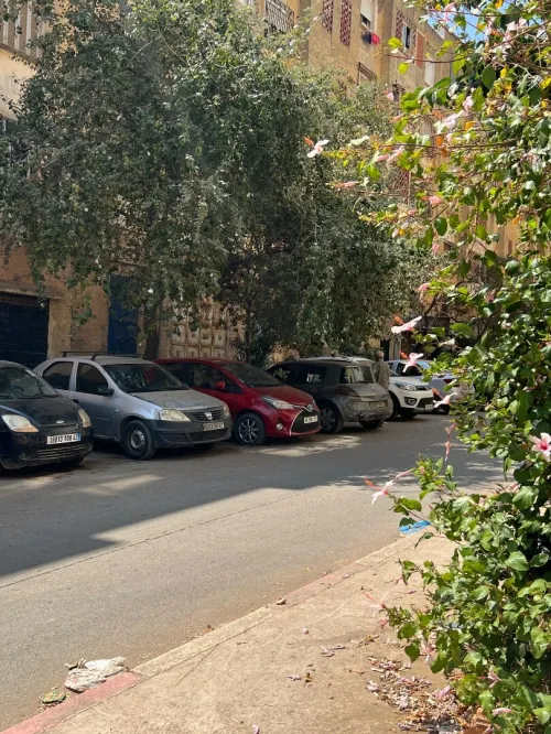 Location Appartement F4 Tipaza Kolea