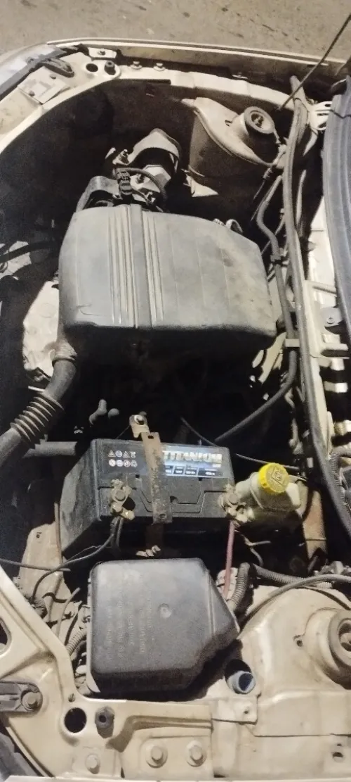 Fiat Palio 2010 Fire