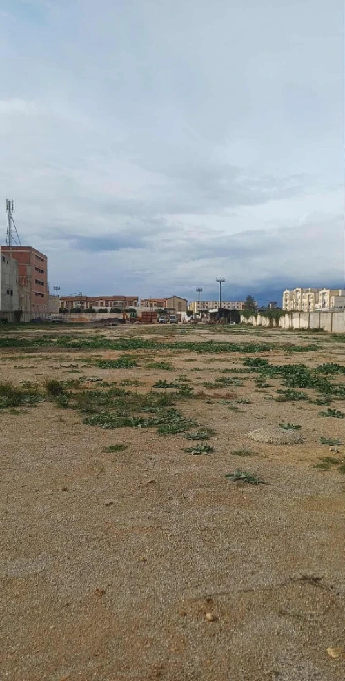 Vente Terrain Blida Chebli