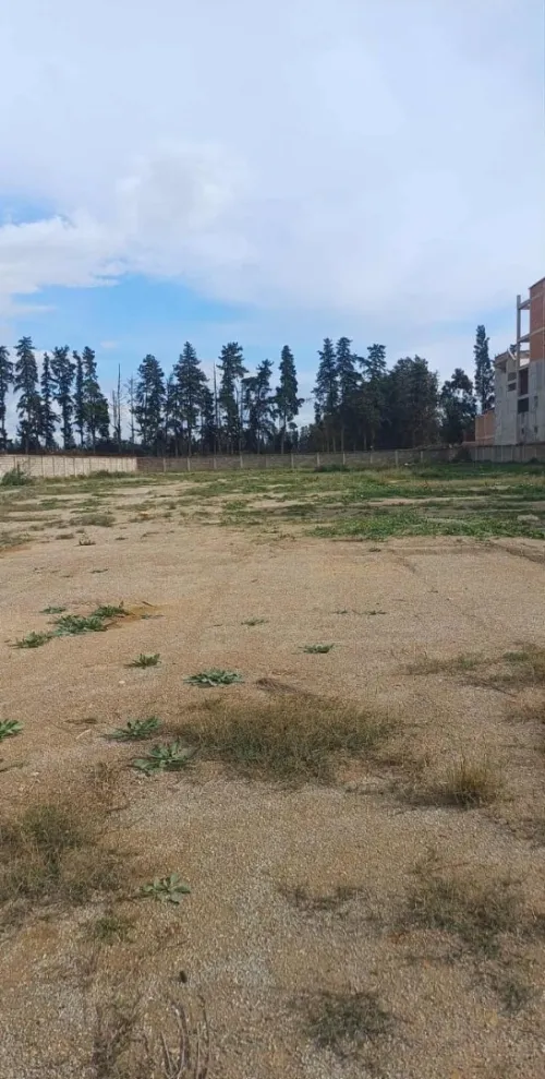 Vente Terrain Blida Chebli