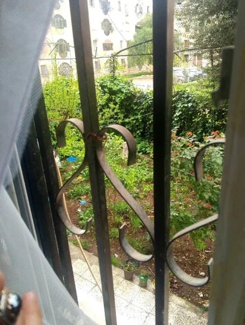 Vente Appartement F3 Guelma Guelma