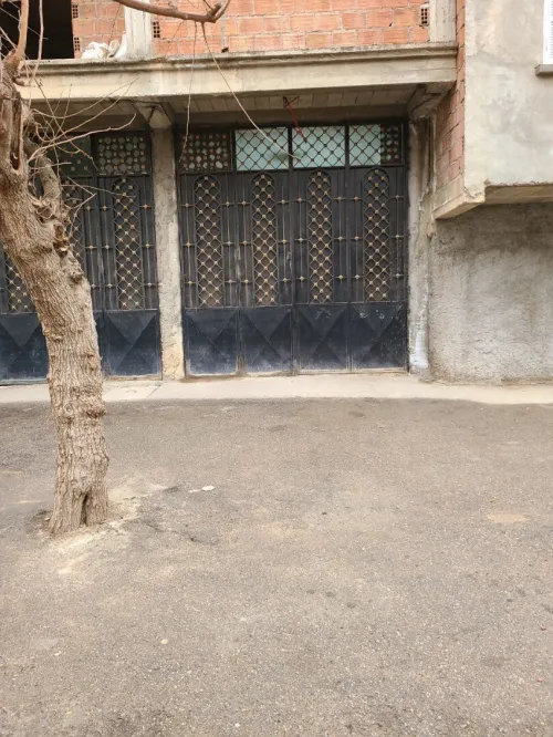 Vente Villa Alger Les eucalyptus