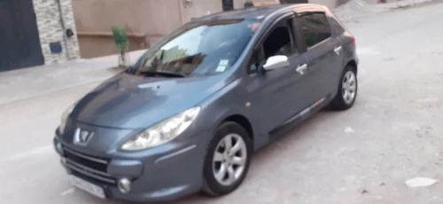 Peugeot 307 2006 307