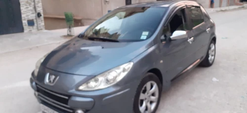 Peugeot 307 2006 307
