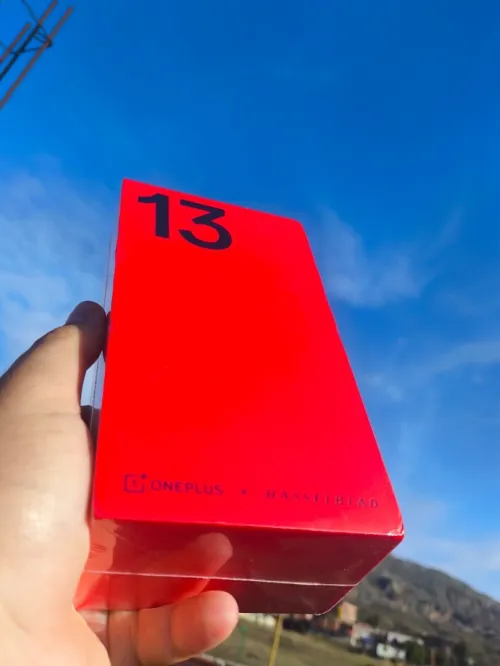 OnePlus 13 "