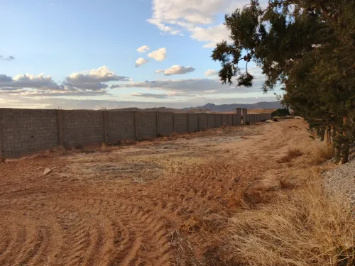 Vente Terrain Agricole Tébessa Bir Dheb