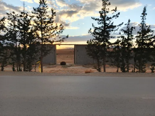 Vente Terrain Agricole Tébessa Bir Dheb