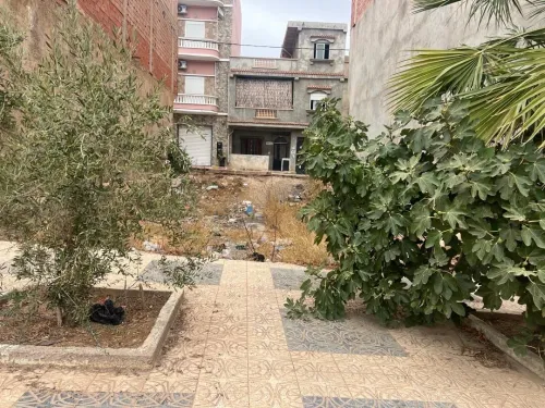 Vente Terrain Aïn Témouchent Ain temouchent