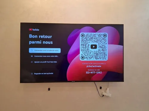 Vend téléviseur Brandt 65P neuf