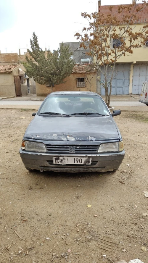 Peugeot 405 1990 405
