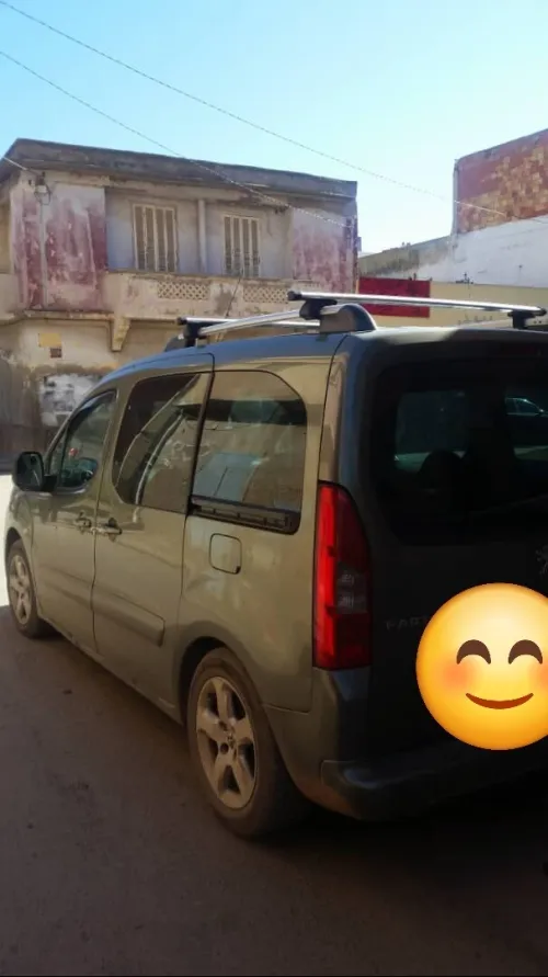 Peugeot Partner 2010 Tepee