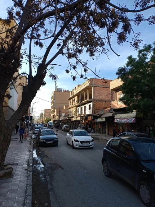 Vente Local Sidi Bel Abbès Sidi bel abbes
