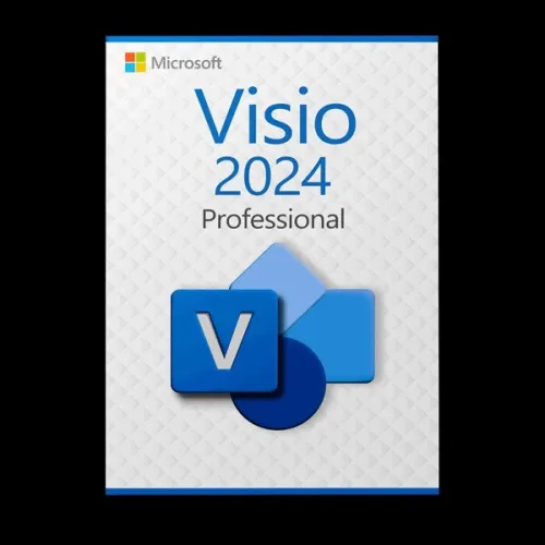 Microsoft visio pro 2024